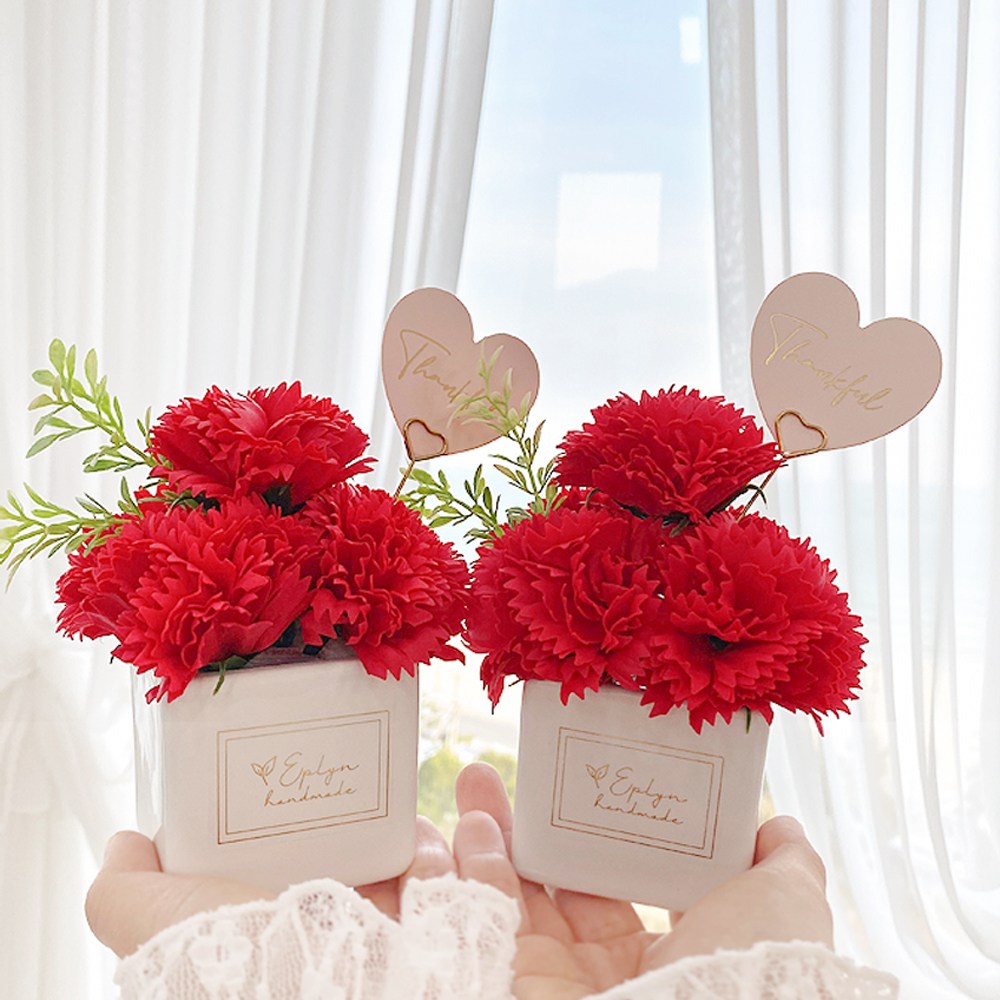 이플린 카네이션 비누꽃 큐티 화분