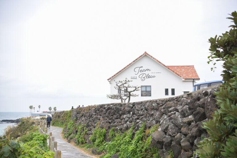 팀블루 카페 전경