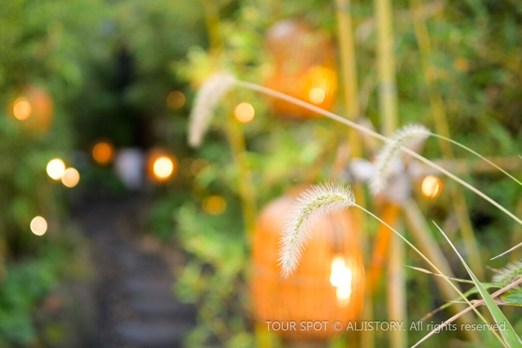 Cheongdang Cafe in Aewol, Jeju - 251108-0012