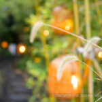 Cheongdang Cafe in Aewol, Jeju - 251108-0012