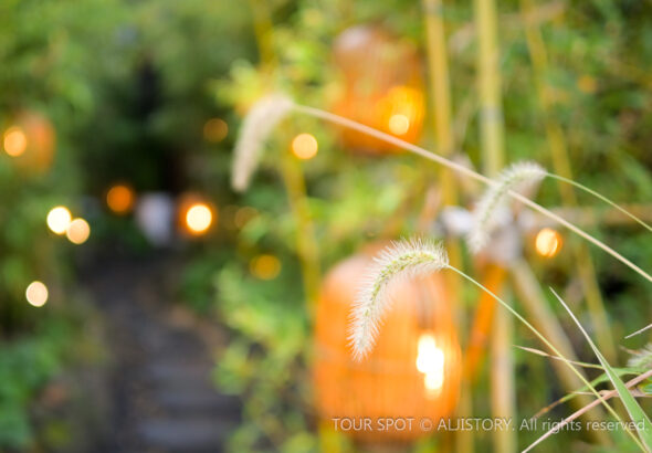 Cheongdang Cafe in Aewol, Jeju - 251108-0012