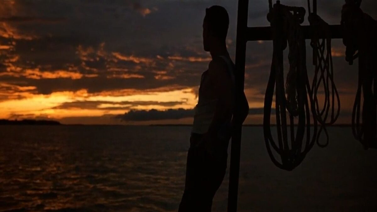 Everything in a Tom Hanks film is beautiful.